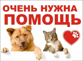 "Поможем животным вместе" "Поможем животным вместе".