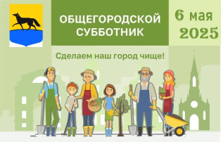 Общегородской субботник Общегородской субботник.