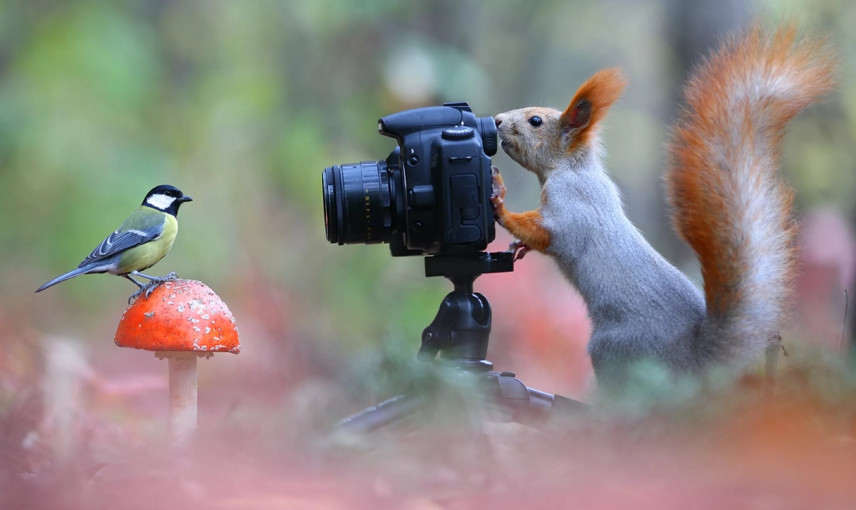 Акция «Экологическая фотоохота» Акция «Экологическая фотоохота».