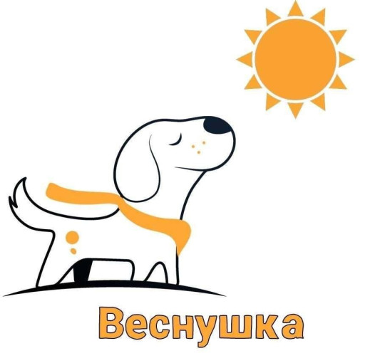 Зоозащитная акция "Веснушка" Зоозащитная акция "Веснушка".
